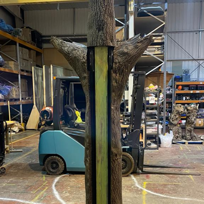 Bespoke Olive Tree